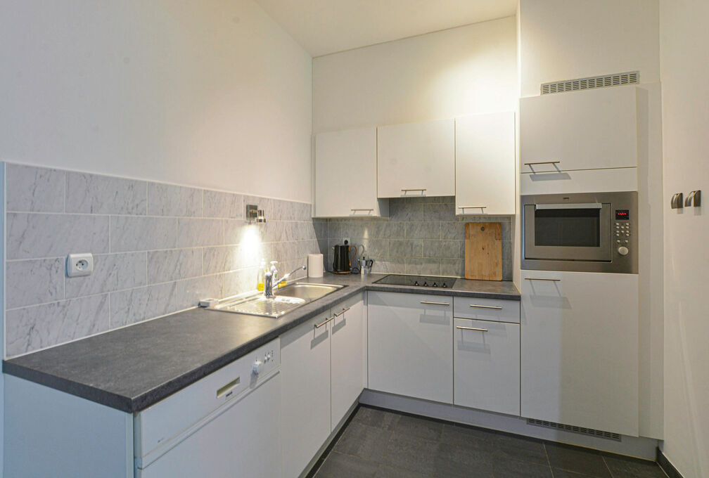 Appartement &agrave; louer &agrave; Ixelles