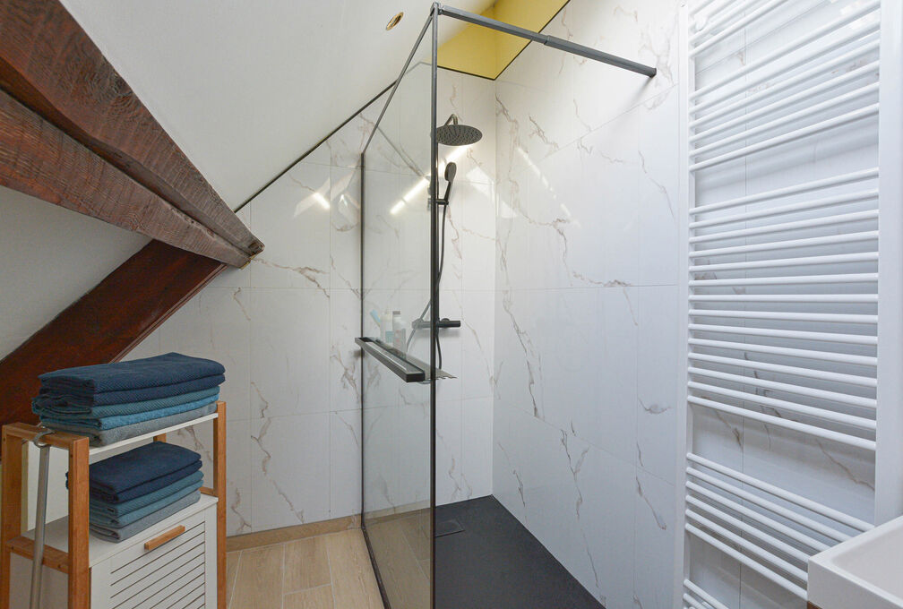 Maison de ma&icirc;tre &agrave; vendre &agrave; Etterbeek