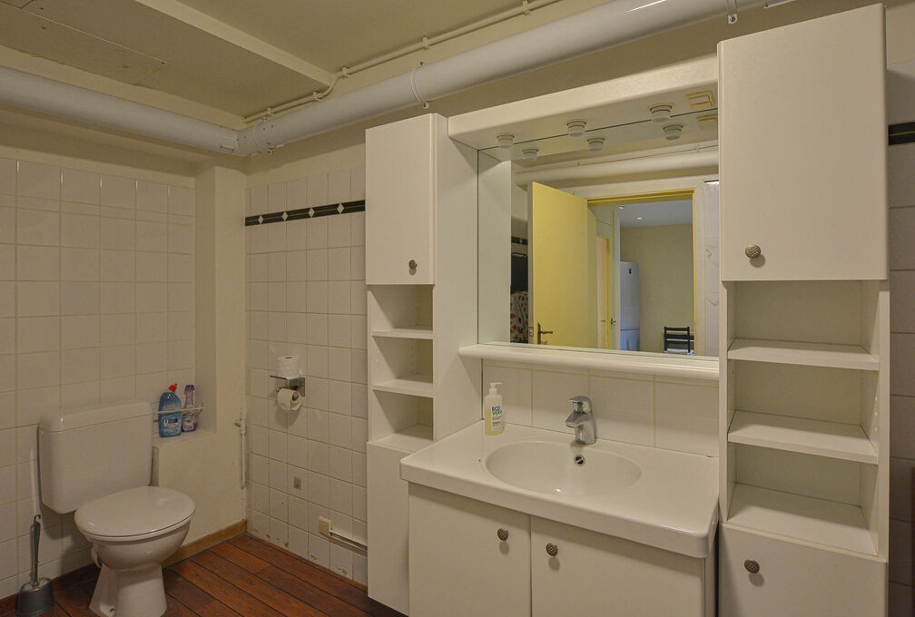 Maison de maitre for sale in Etterbeek