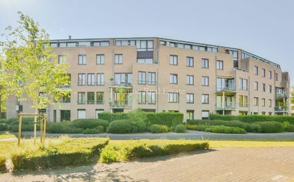 Ground floor for rent in Sint-Pieters-Woluwe