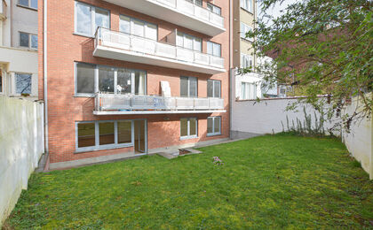 Ground floor for rent in Woluwe-Saint-Lambert